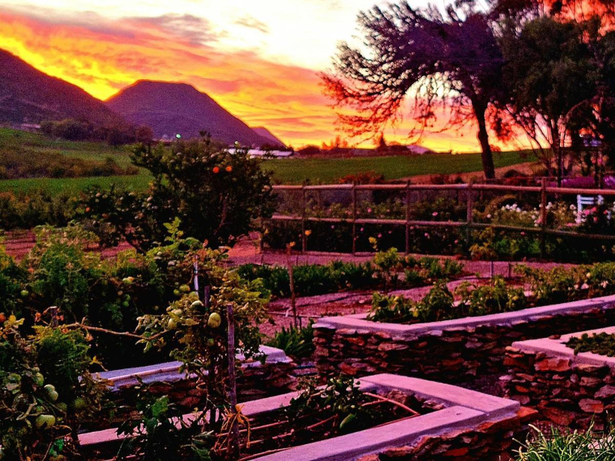 Pjure Boutique Hotel & Spa Montagu Exteriör bild
