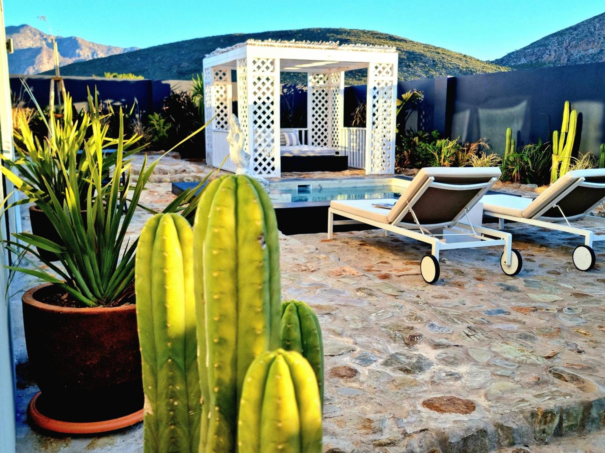 Pjure Boutique Hotel & Spa Montagu Rum bild