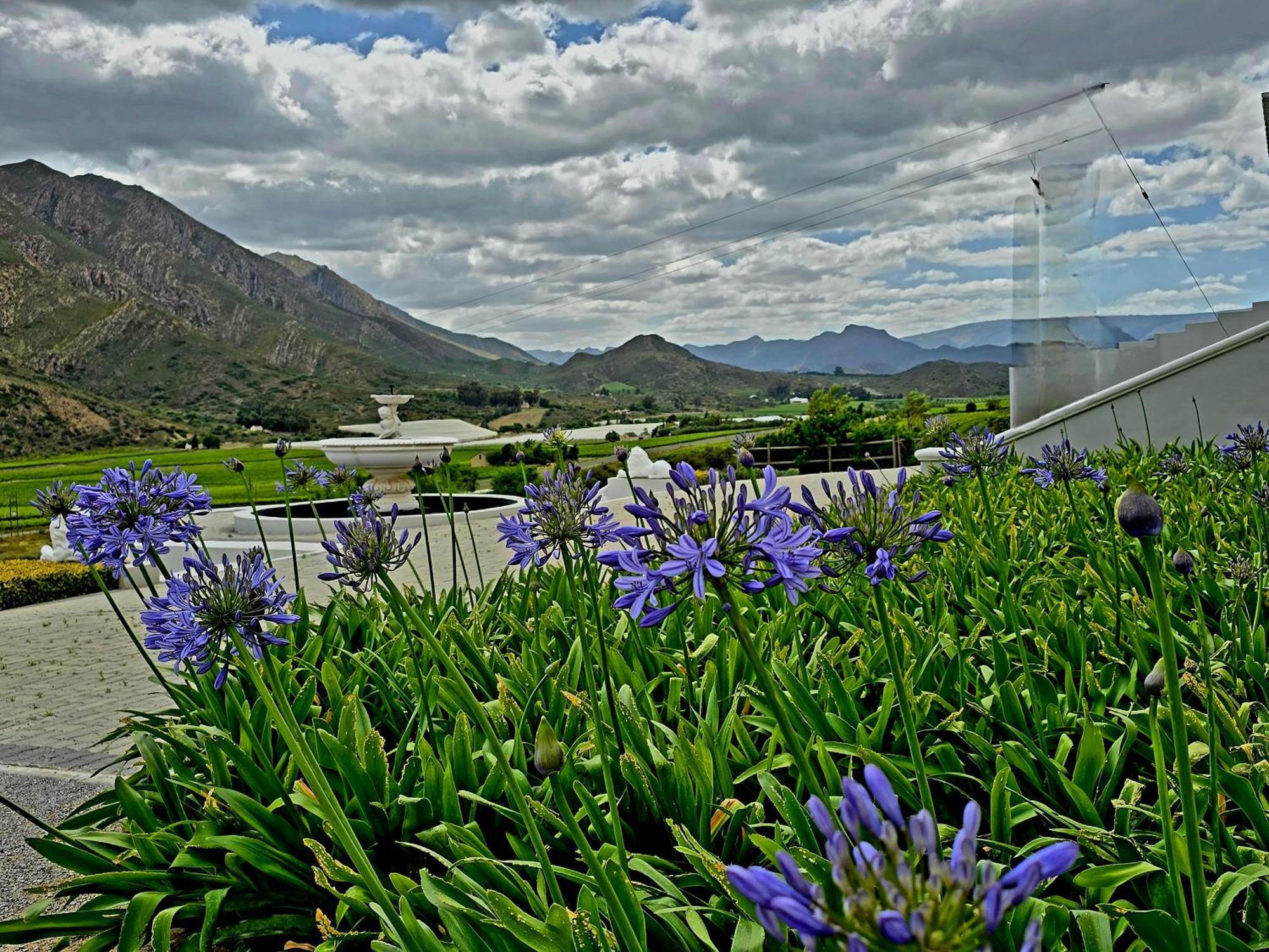 Pjure Boutique Hotel & Spa Montagu Exteriör bild